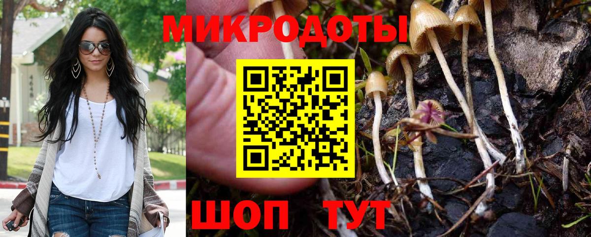 наркошоп  Псилоцибиновые грибы GOLDEN TEACHER  Ижевск  Вход с VPN  Галлюциногенные грибы мицелий 