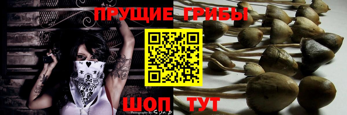 Галлюциногенные грибы Psilocybine cubensis Ижевск