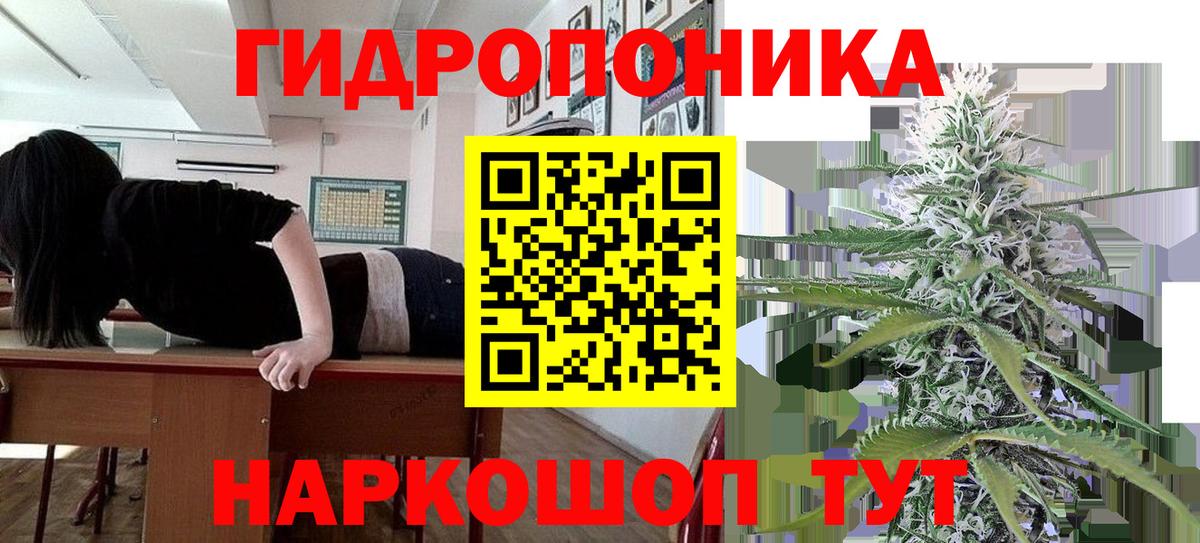 Ижевск  Шишки марихуана OG Kush  Канабис ГИДРОПОН  Канабис AK-47  Вход с VPN 